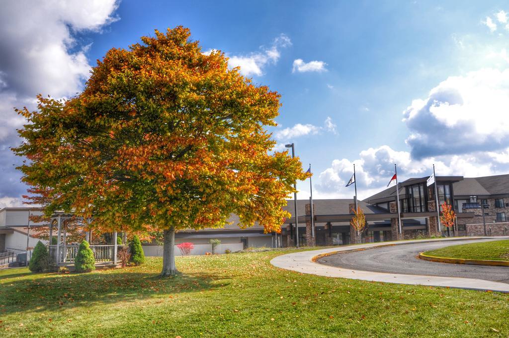 Canaan Valley Resort State Park Дейвис Экстерьер фото
