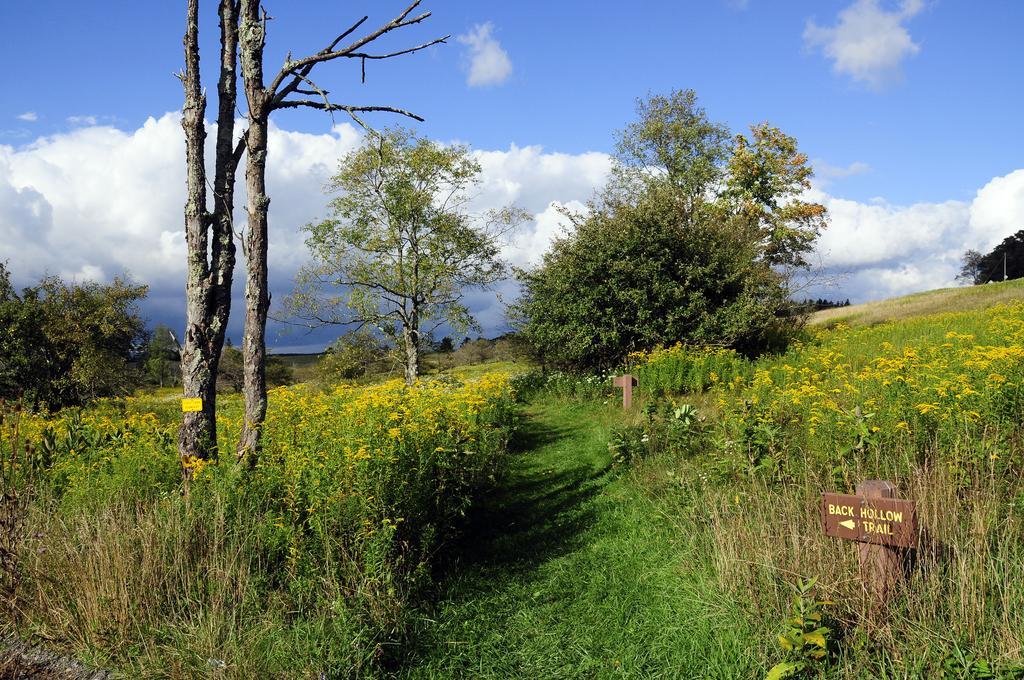 Canaan Valley Resort State Park Дейвис Экстерьер фото