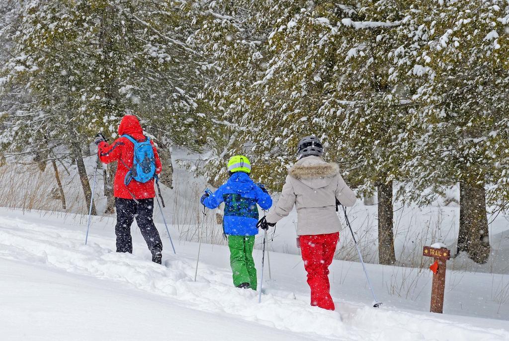 Canaan Valley Resort State Park Дейвис Экстерьер фото