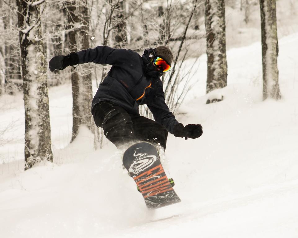 Canaan Valley Resort State Park Дейвис Экстерьер фото