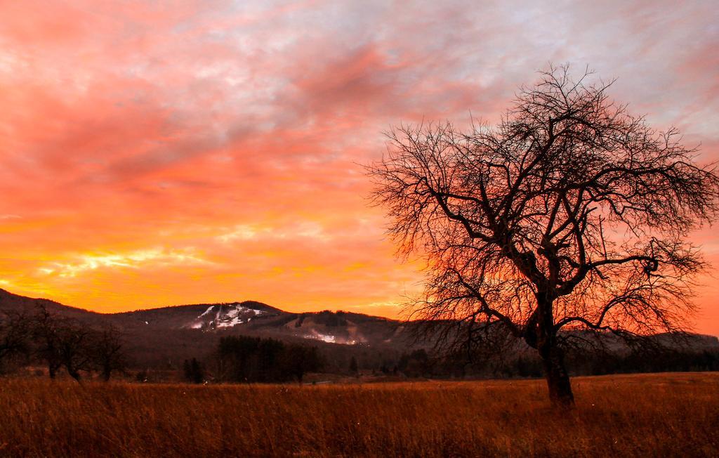 Canaan Valley Resort State Park Дейвис Экстерьер фото