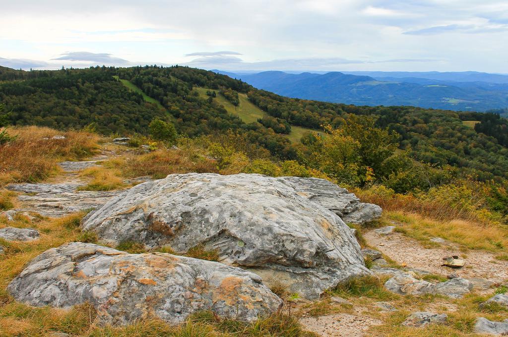Canaan Valley Resort State Park Дейвис Экстерьер фото