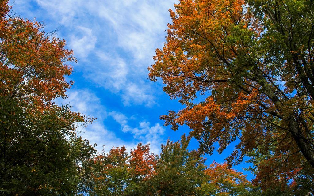 Canaan Valley Resort State Park Дейвис Экстерьер фото