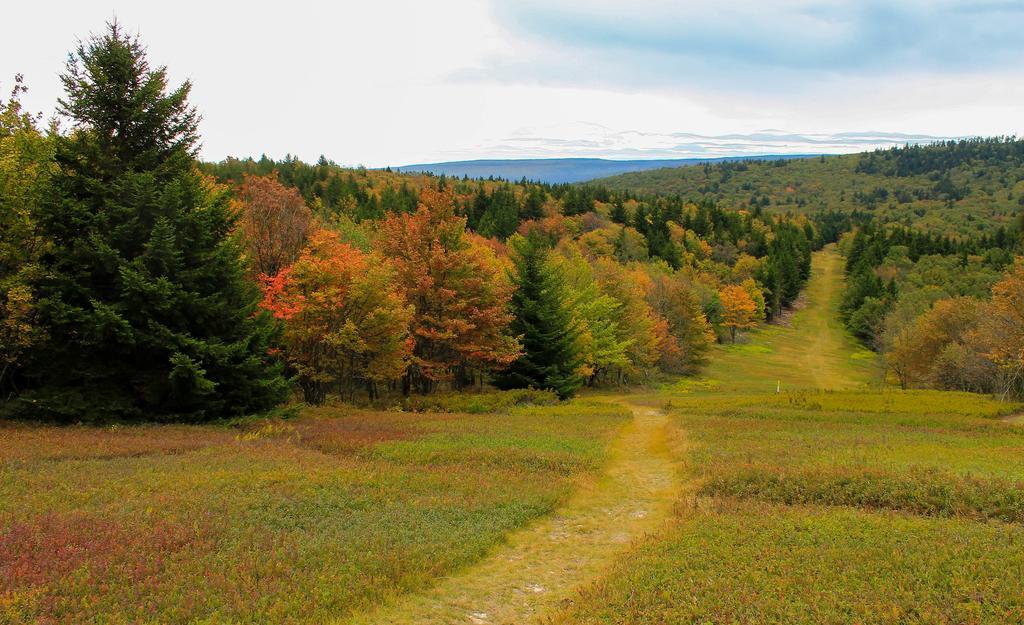 Canaan Valley Resort State Park Дейвис Экстерьер фото