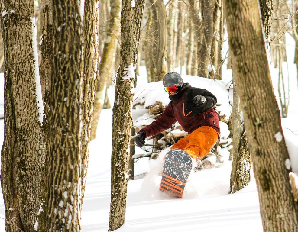 Canaan Valley Resort State Park Дейвис Экстерьер фото