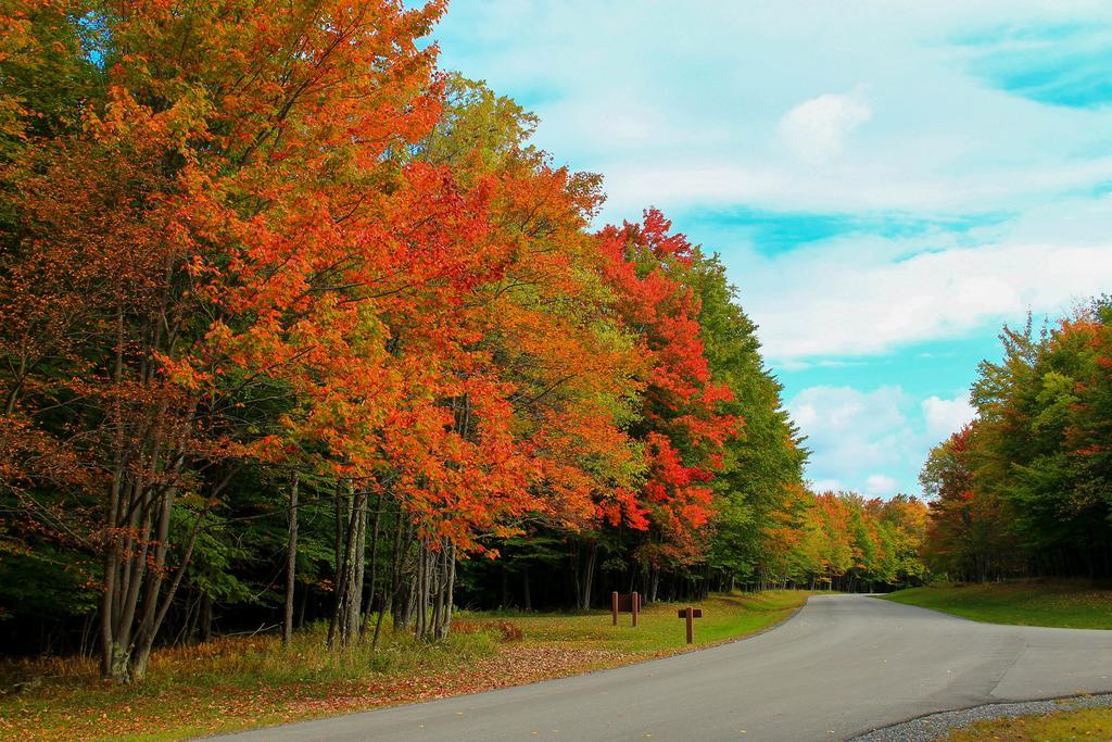 Canaan Valley Resort State Park Дейвис Экстерьер фото