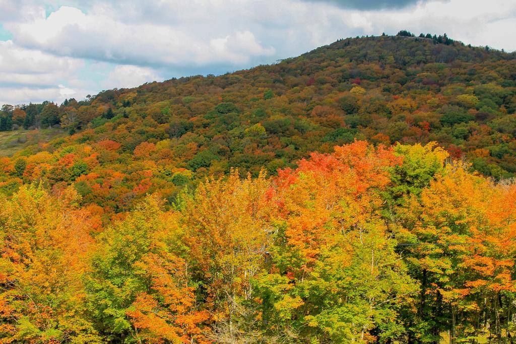 Canaan Valley Resort State Park Дейвис Экстерьер фото