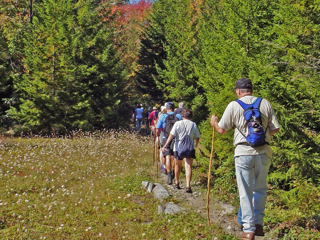 Canaan Valley Resort State Park Дейвис Экстерьер фото