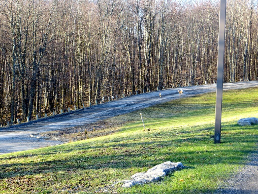 Canaan Valley Resort State Park Дейвис Экстерьер фото